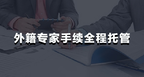 外籍专家手续全程托管