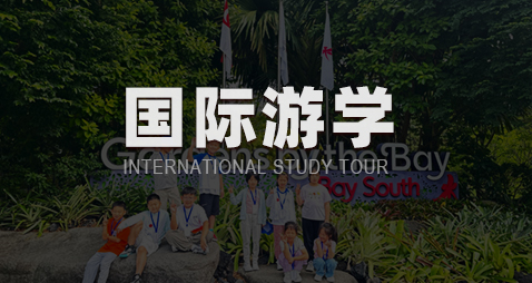 国际游学